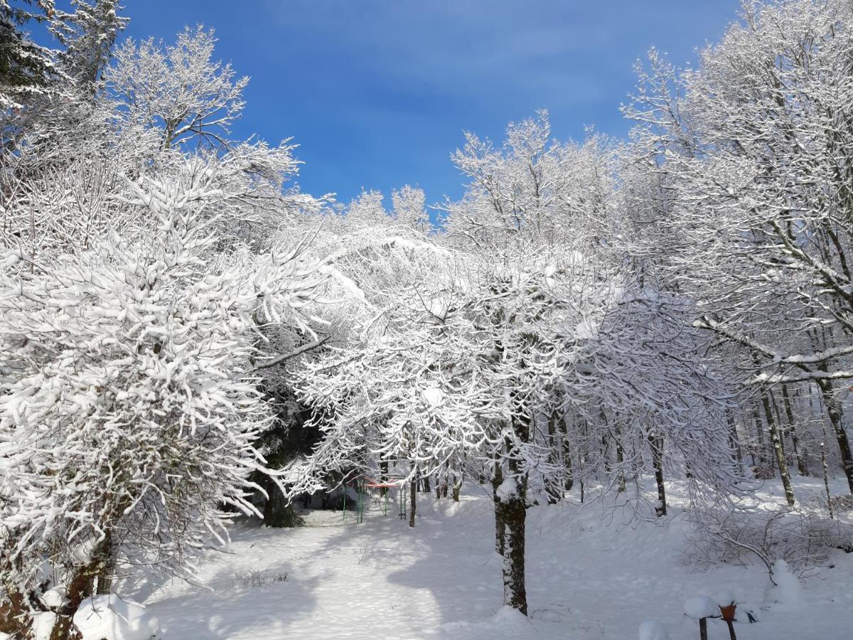 فندق Les Sentiers Du Lac Tremouille  الغرفة الصورة